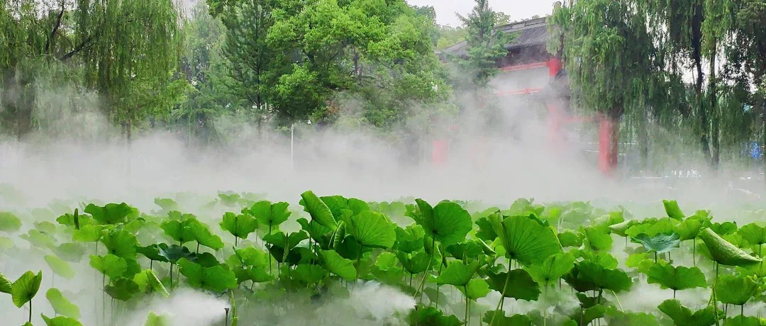 噴霧景觀,噴霧造景
